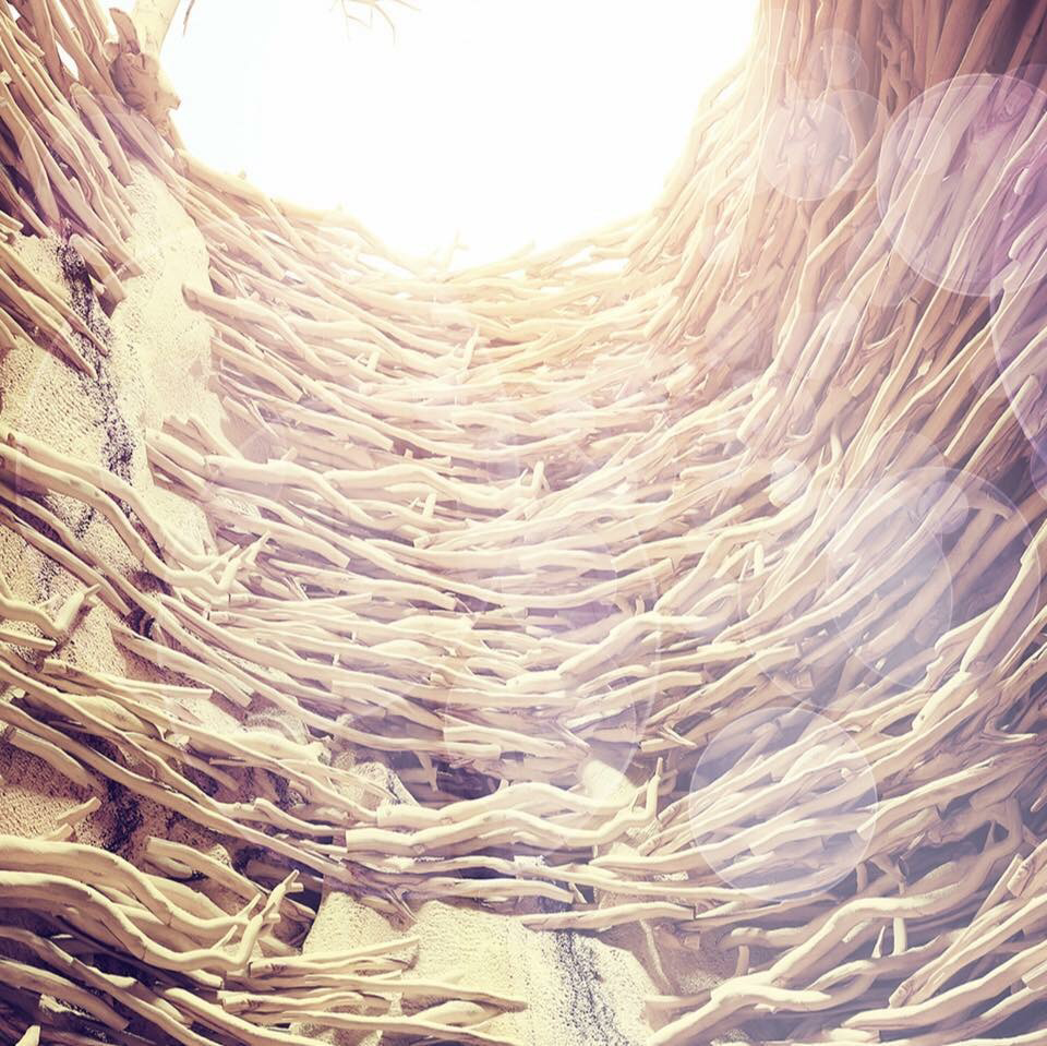 so**** profile image