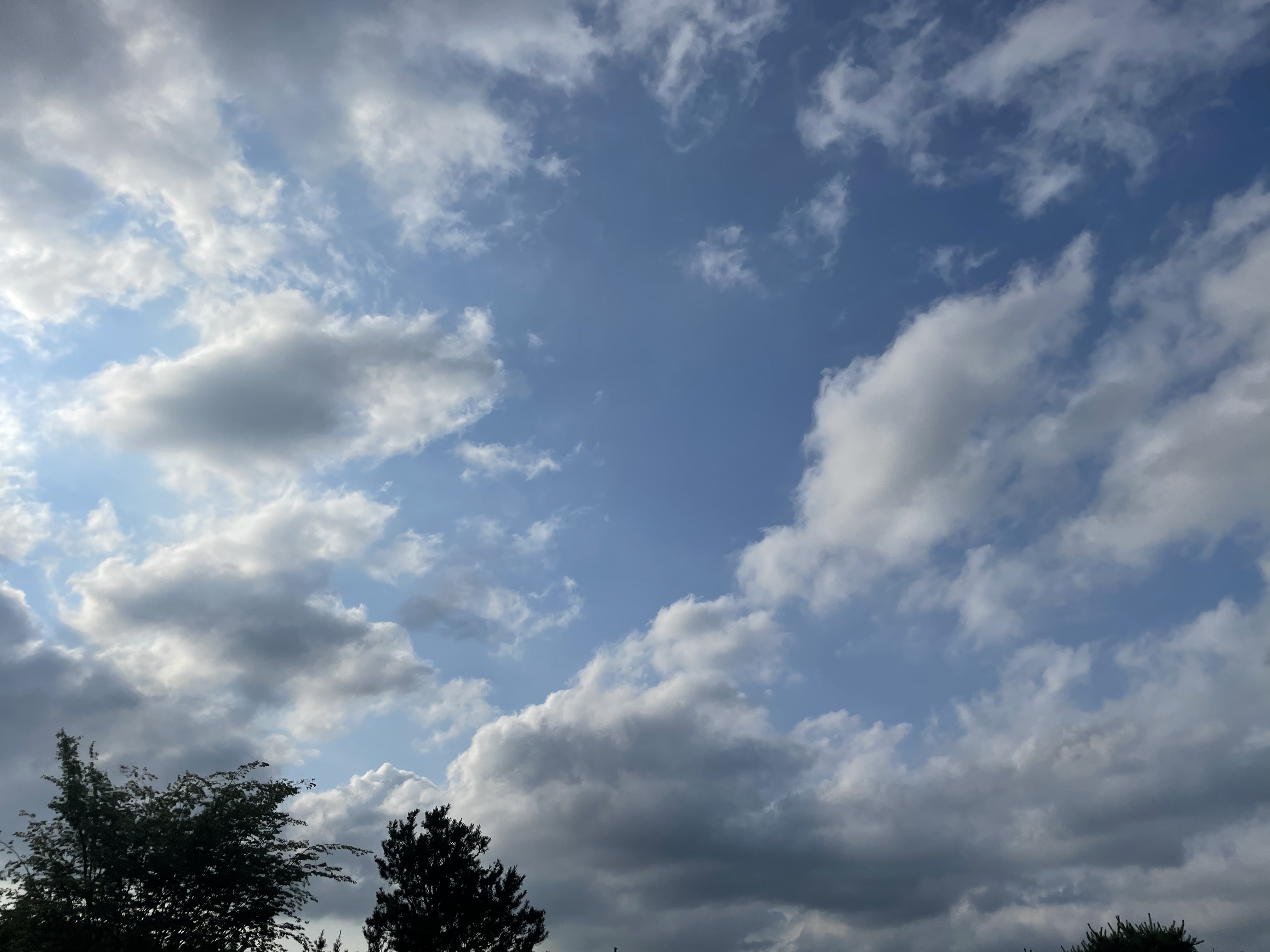 so******* profile image