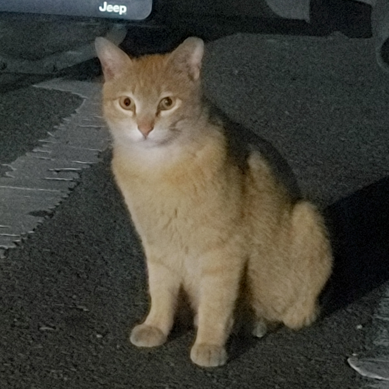 jh***** profile image