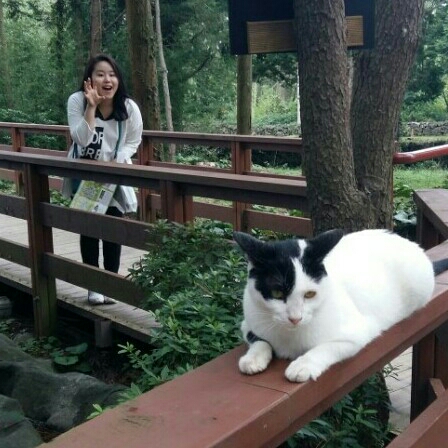 al****** profile image