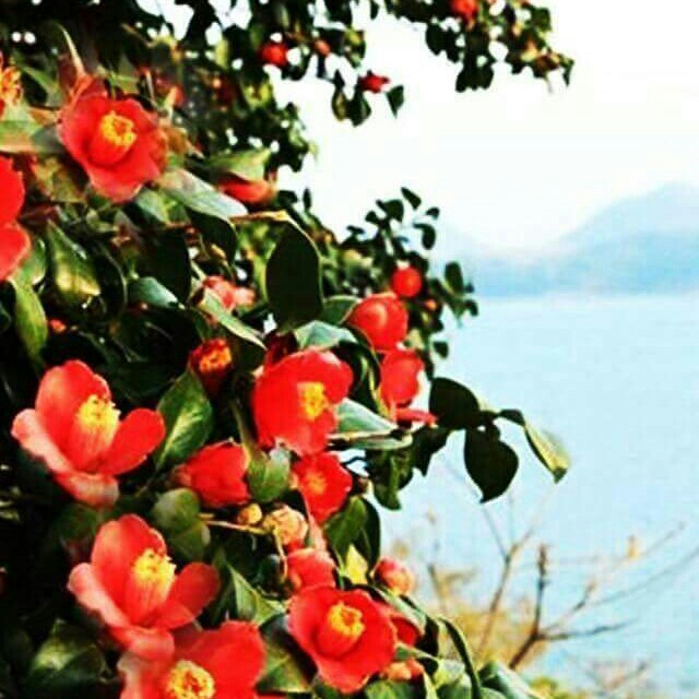 sm****** profile image