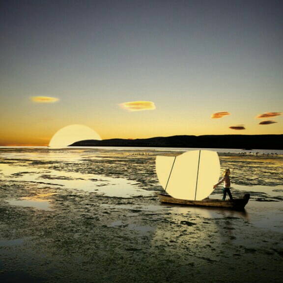 sh****** profile image