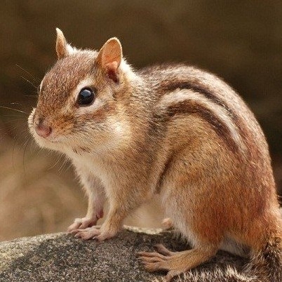 wl******* profile image