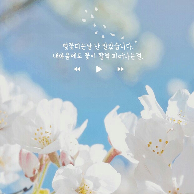 ca****** profile image