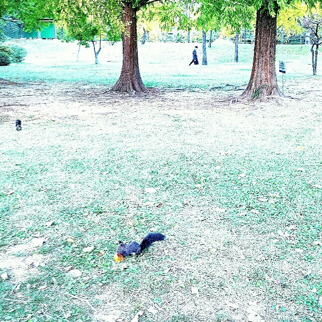 cc**** profile image