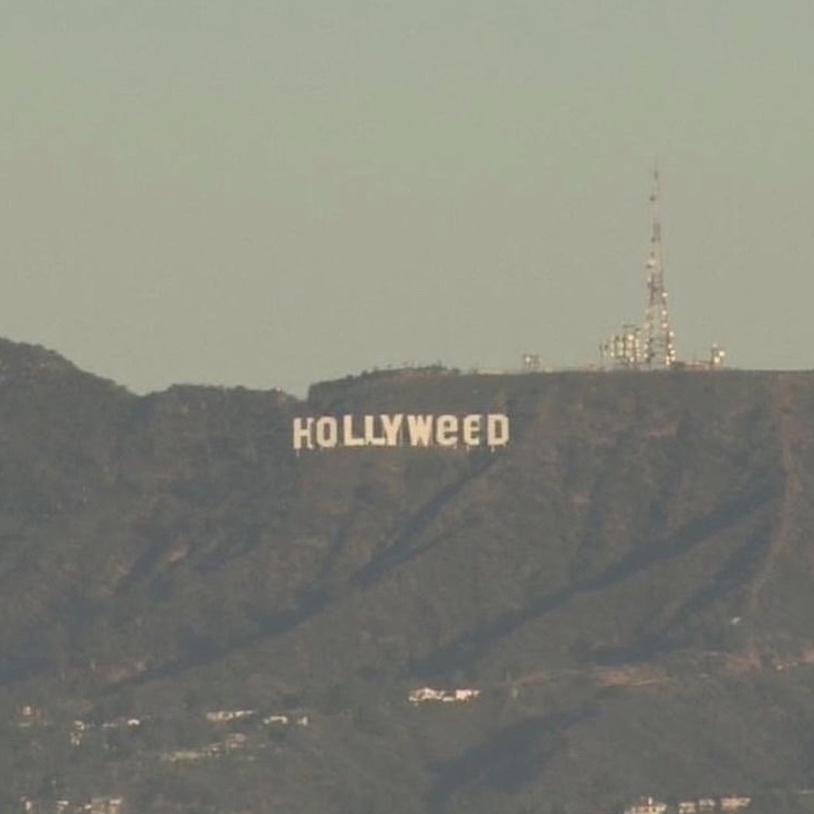 wi******* profile image