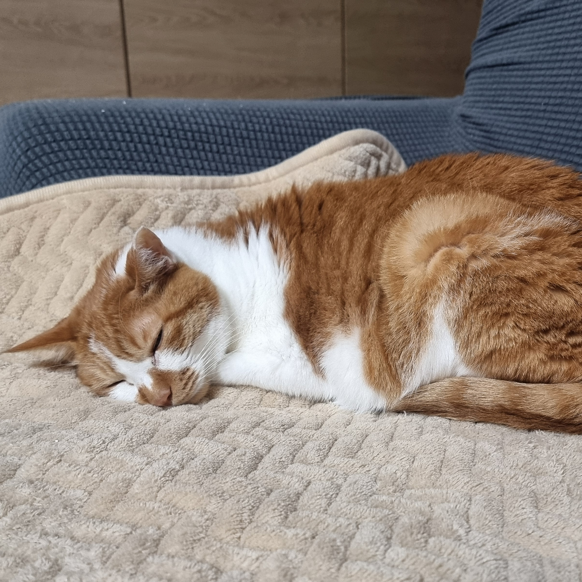 jy**** profile image