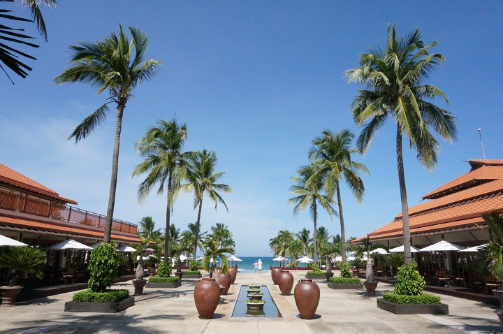 wh********* profile image