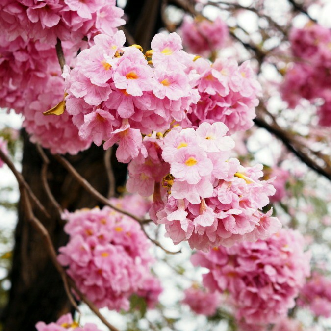 ma********* profile image