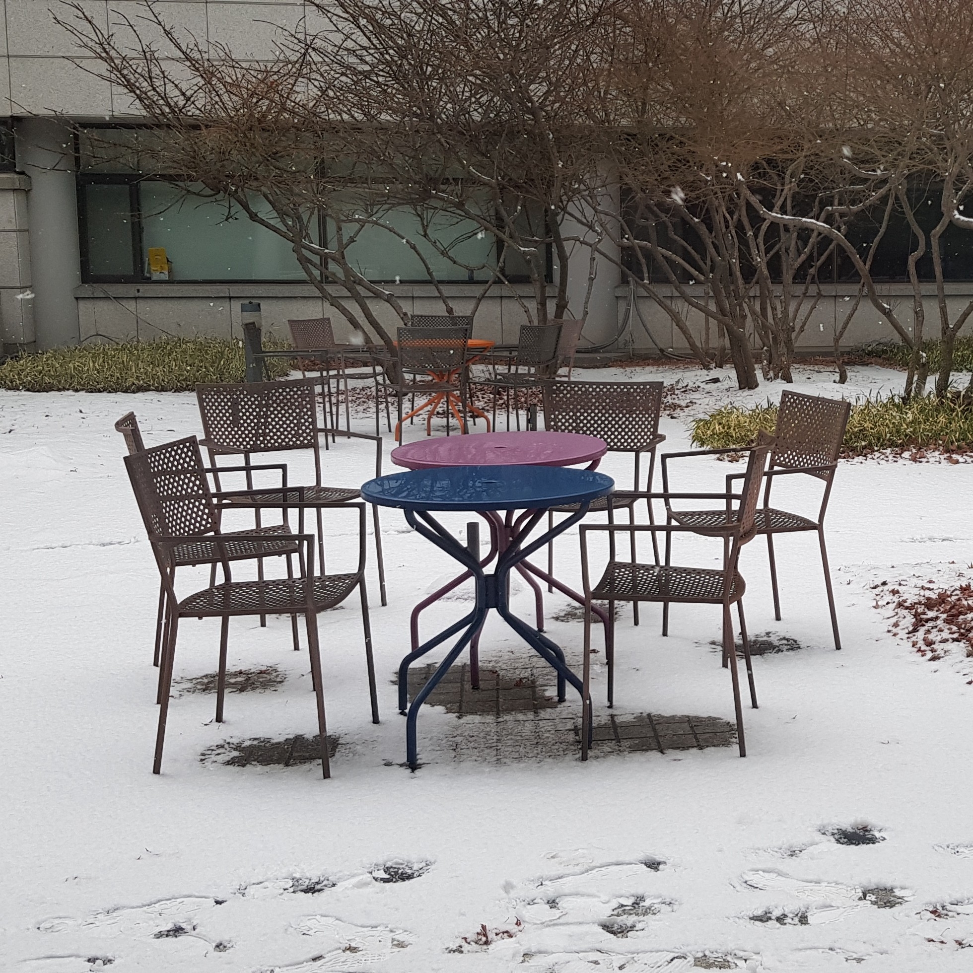 vi****** profile image