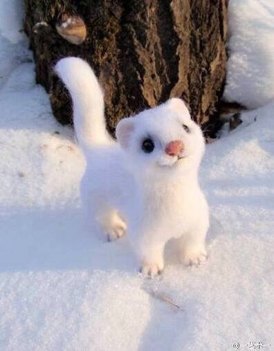 so******* profile image