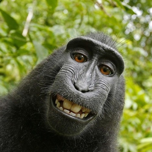 te******** profile image