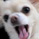 yo***** profile image