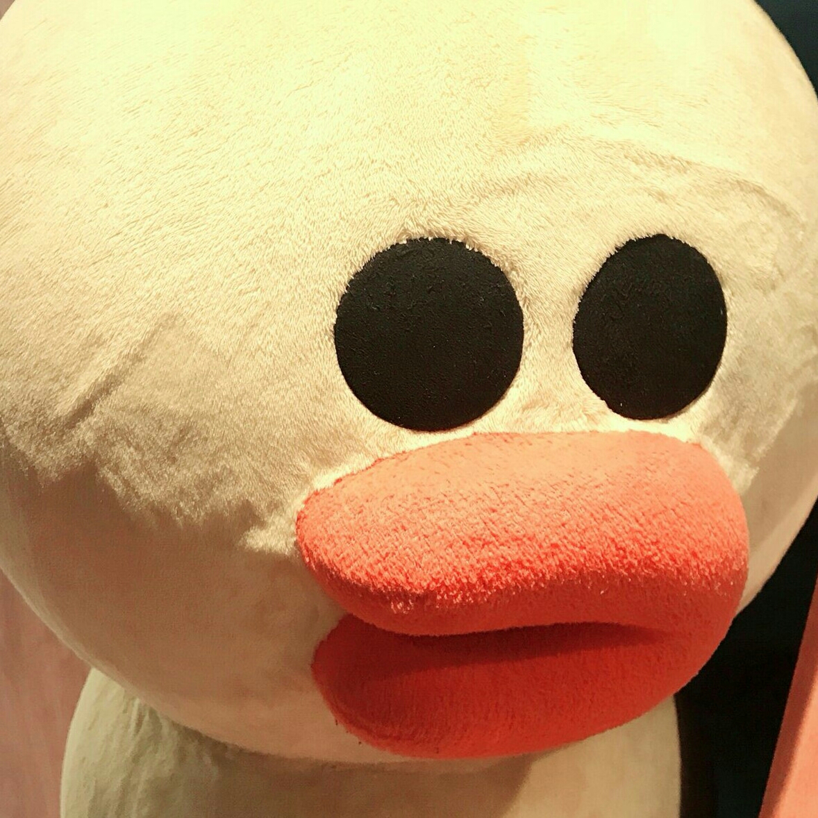kh**** profile image