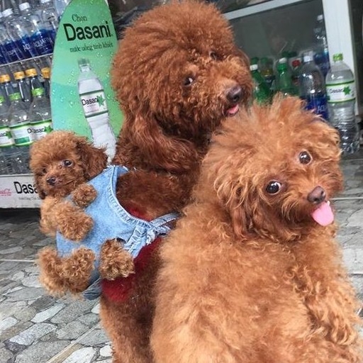 yk**** profile image