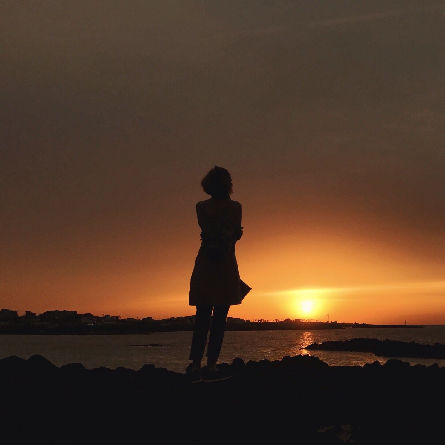 di**** profile image