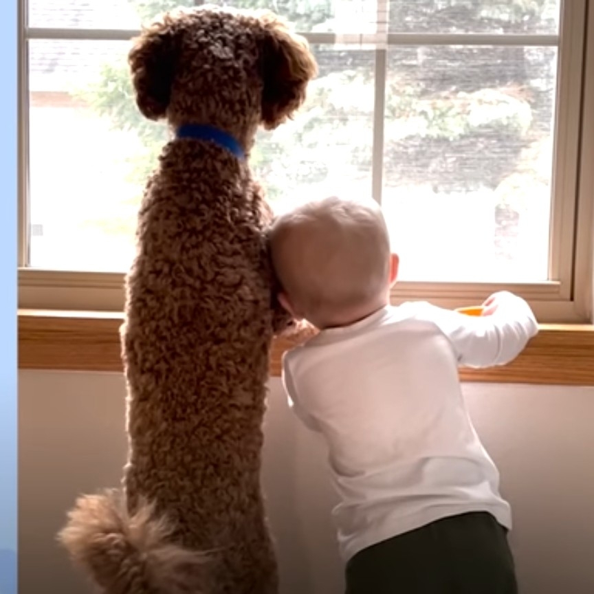 y2****** profile image