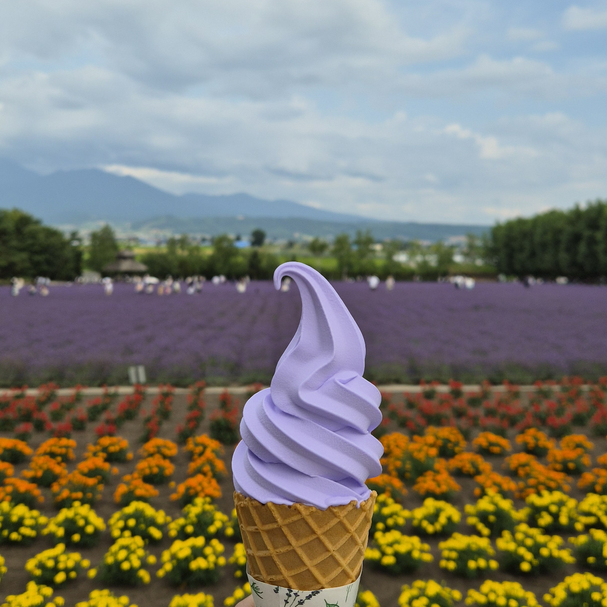 ku******* profile image