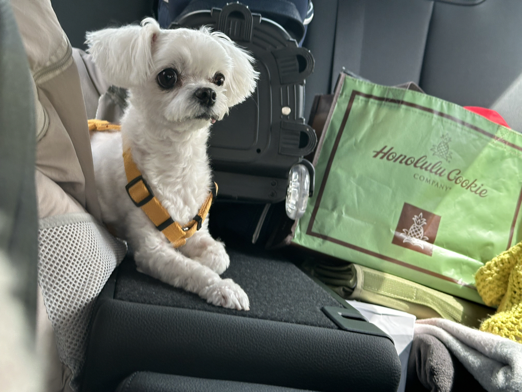 ox**** profile image