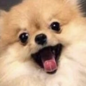 ne***** profile image