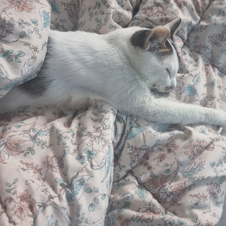 gu****** profile image