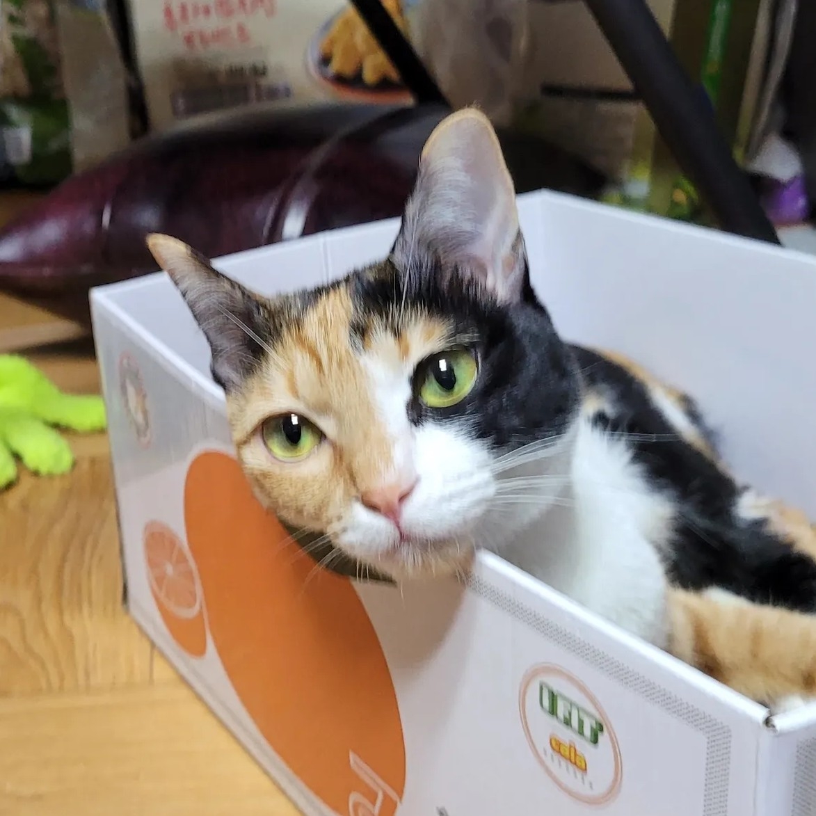 re******* profile image