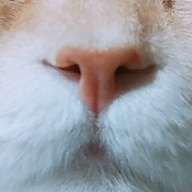 sb***** profile image