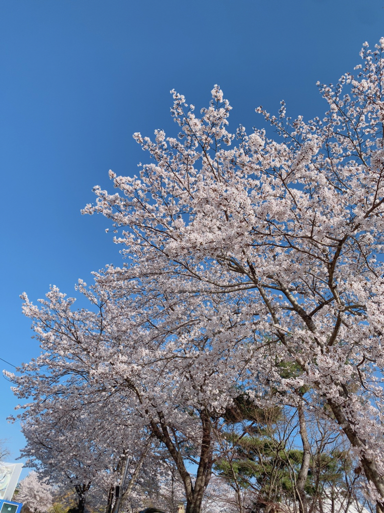 w0******* profile image