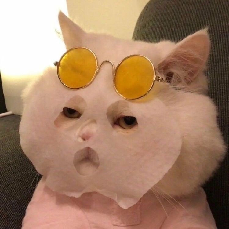 ll****** profile image