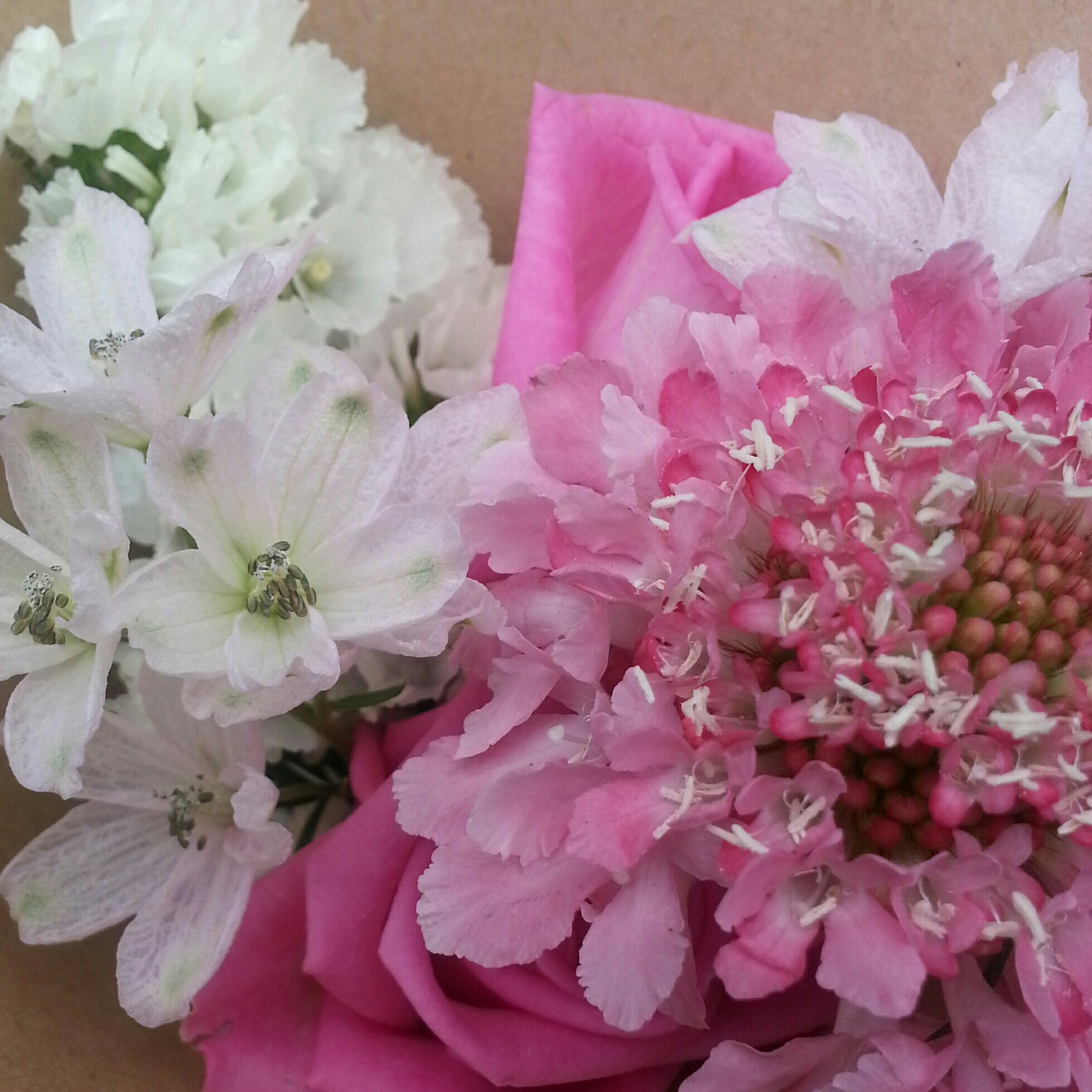 ae***** profile image