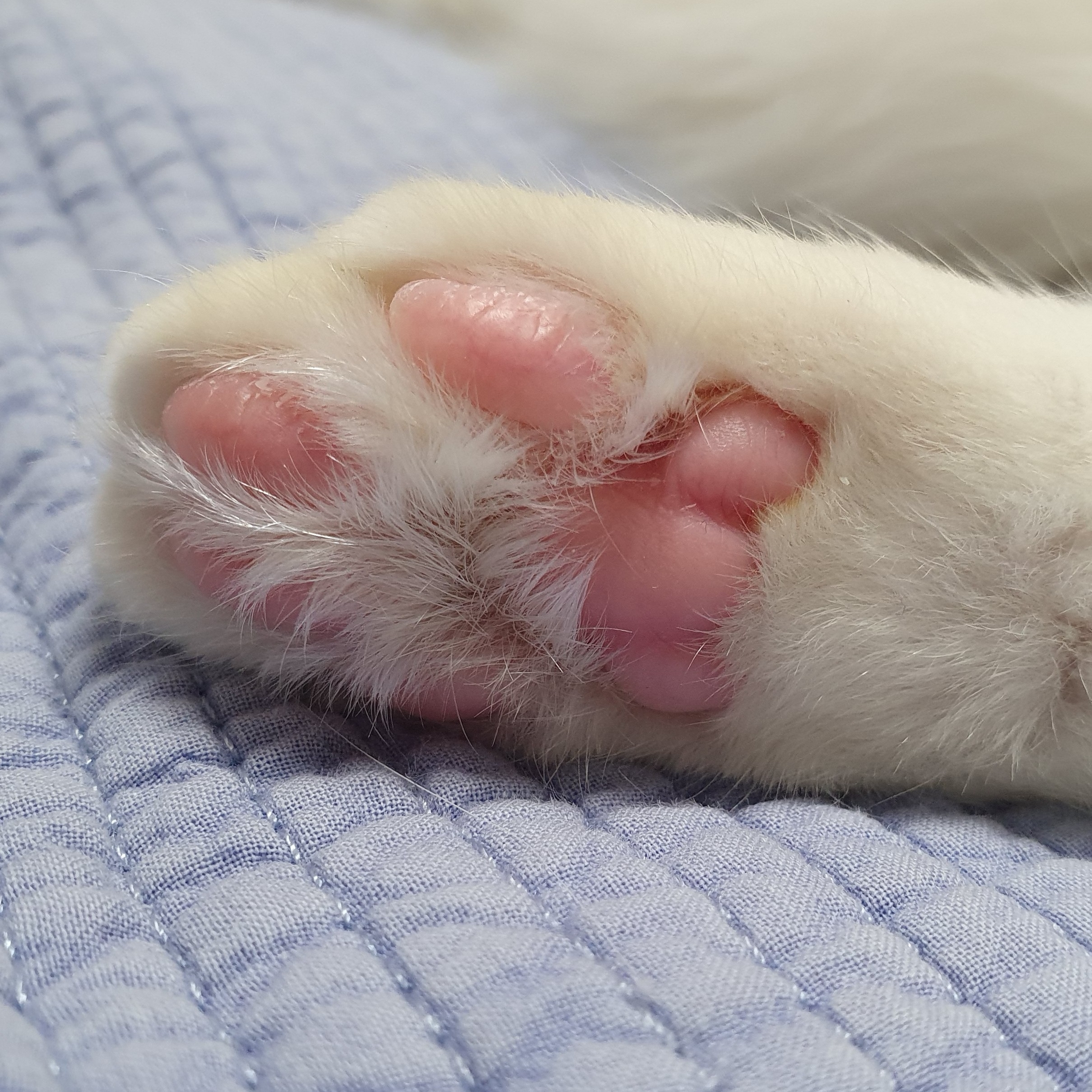 11******* profile image