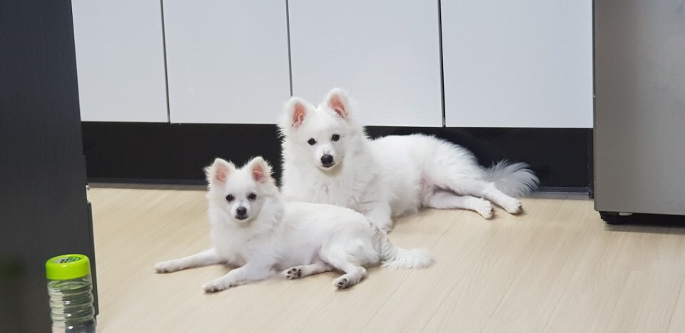 es**** profile image