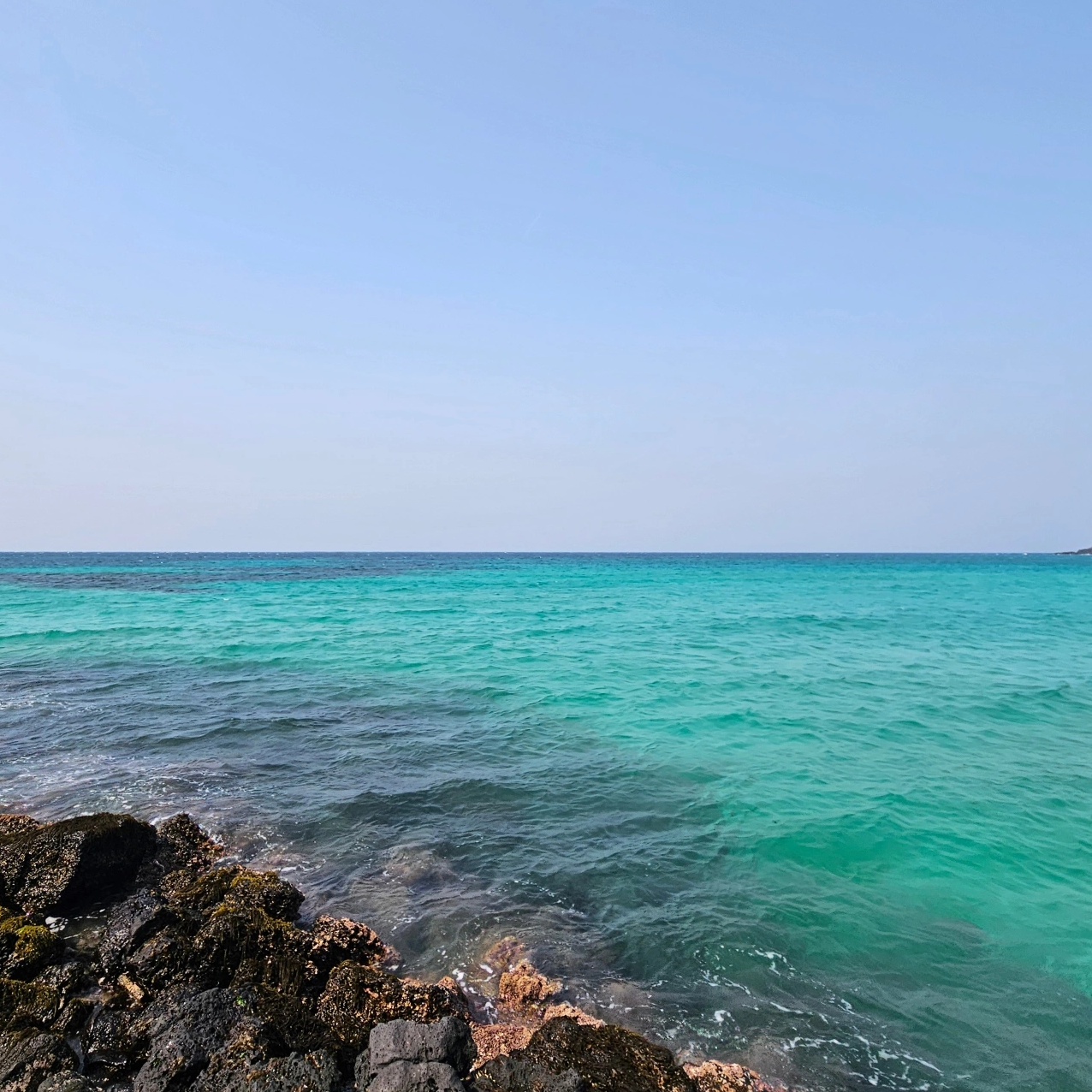 mi********** profile image