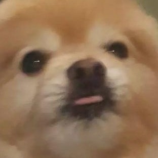 na****** profile image