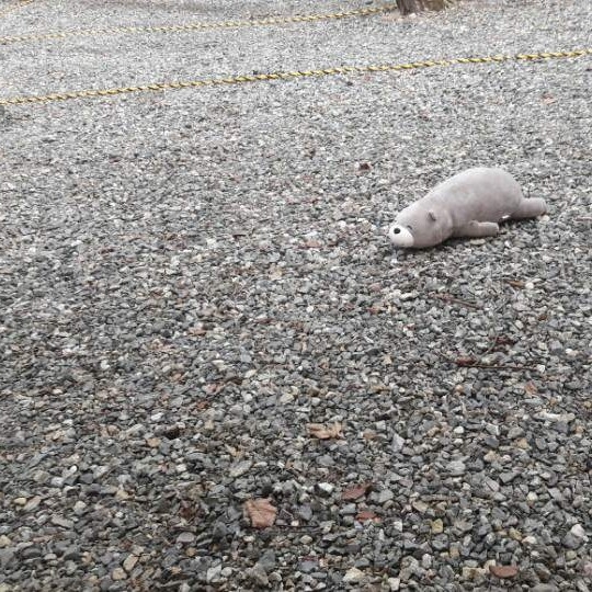 jh****** profile image