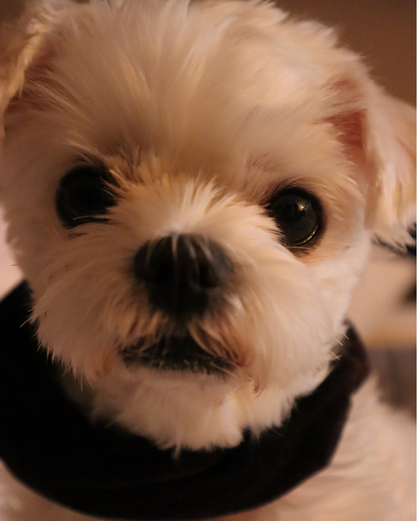 ey******* profile image