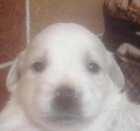 ys**** profile image