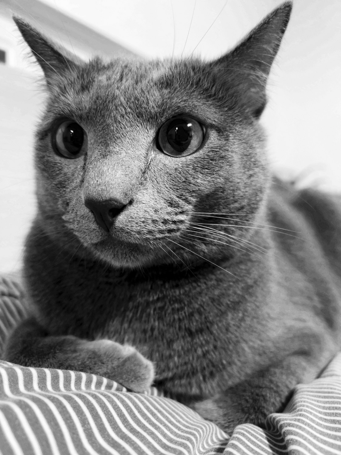 so********* profile image