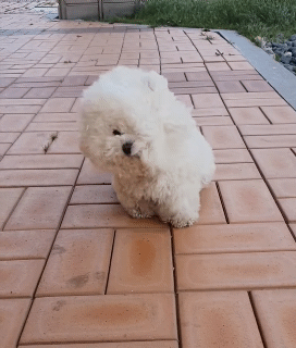 eh****** profile image