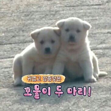 da******** profile image