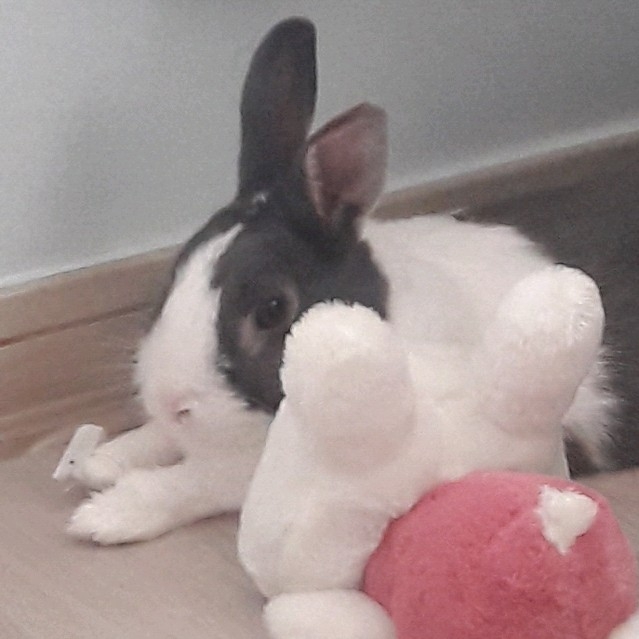 fg****** profile image