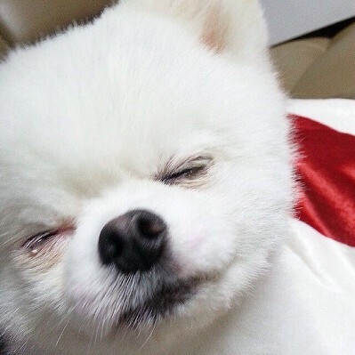 mi******** profile image