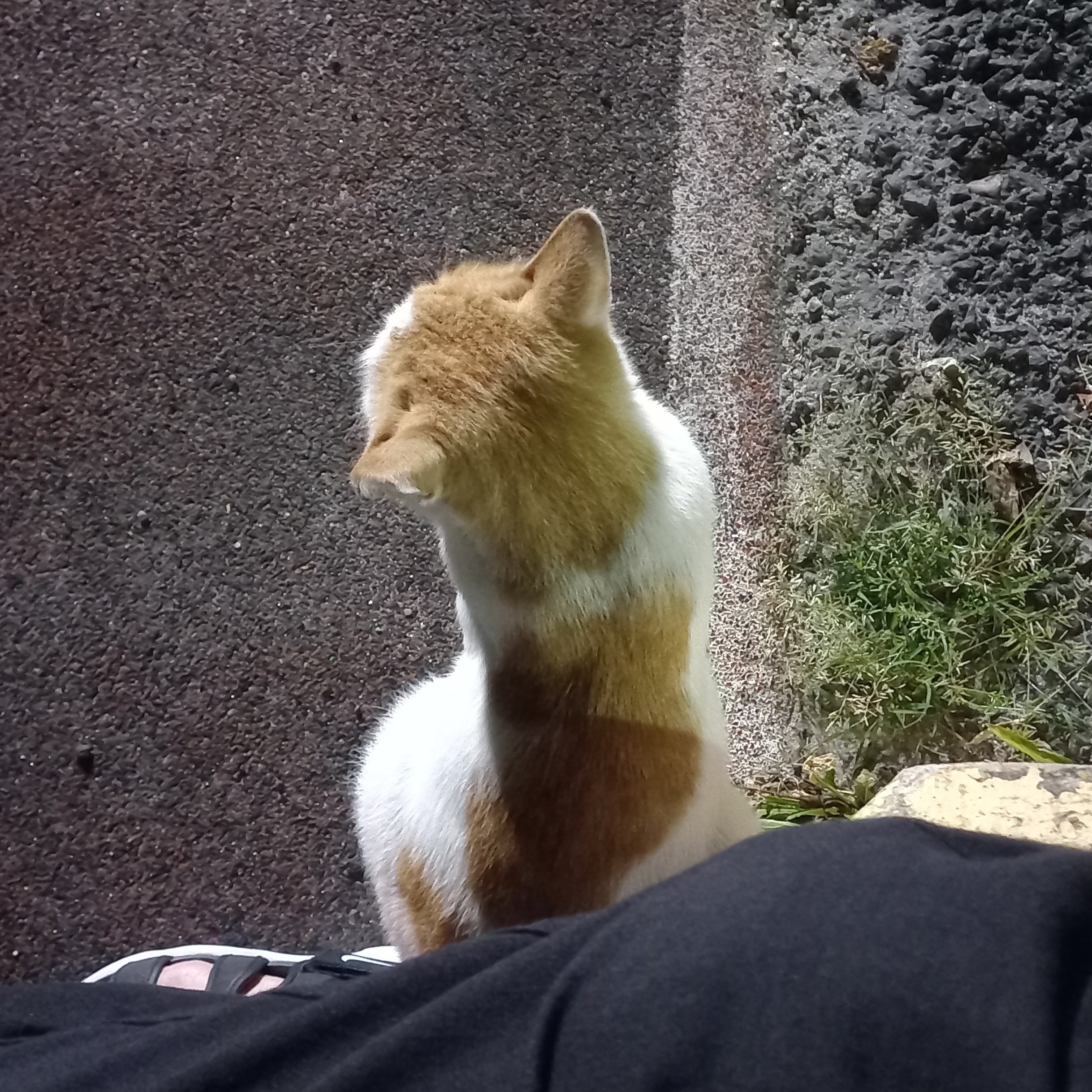 sk******** profile image