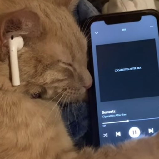 sd****** profile image