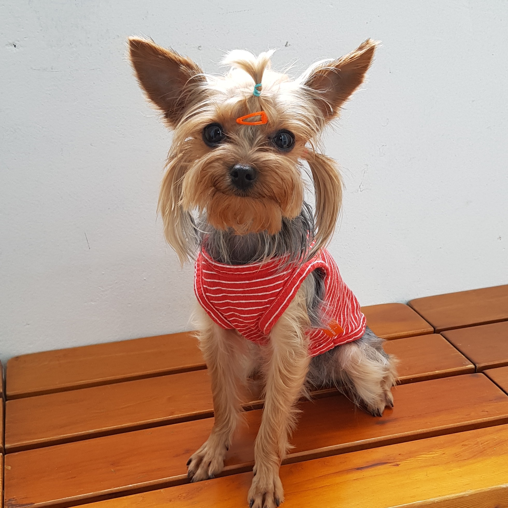 ad***** profile image