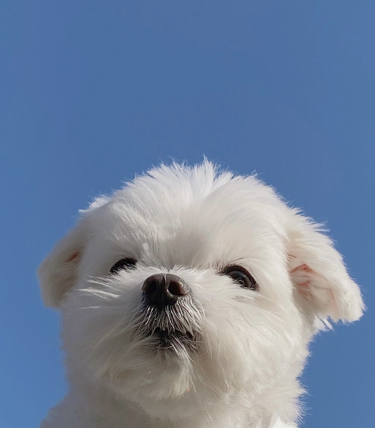 uu***** profile image