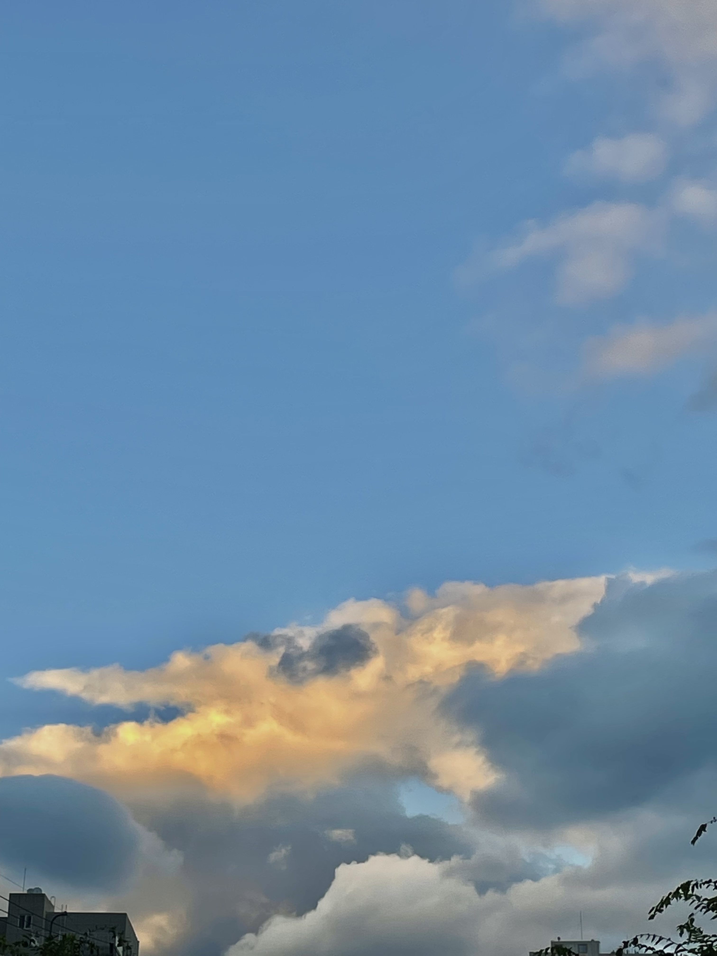 he******** profile image