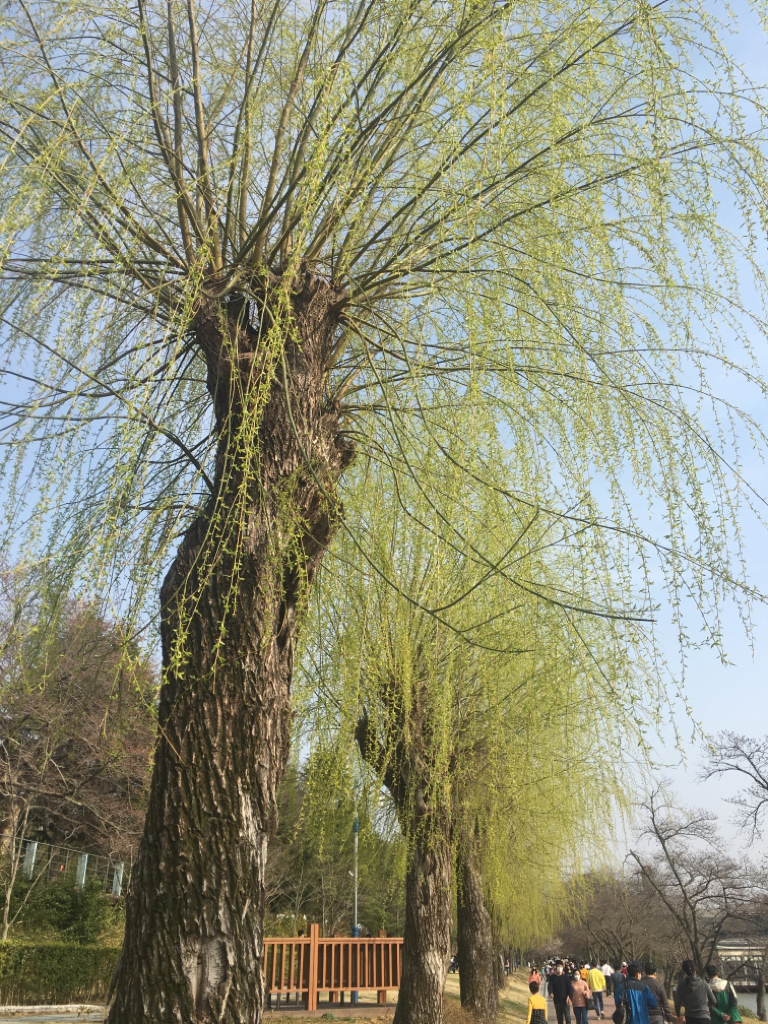 bo***** profile image