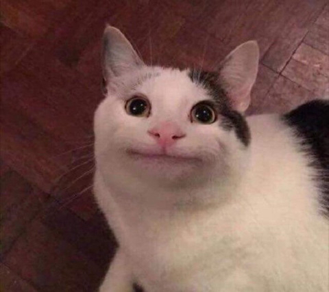 dl********* profile image