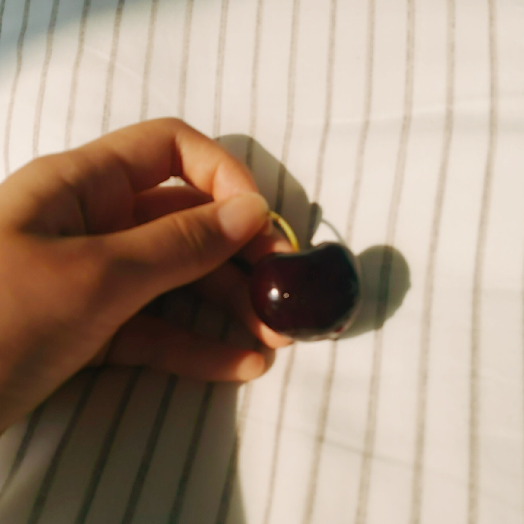 sh******** profile image